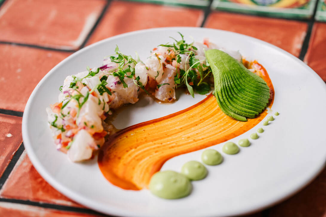 Plated ceviche with avocado and sauce